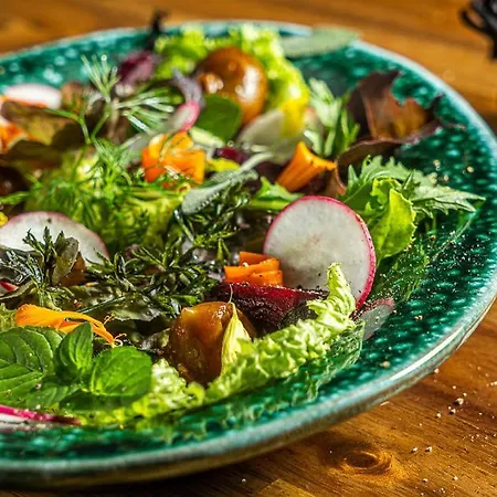 Ξενοδοχείο Ecolife Tenerife