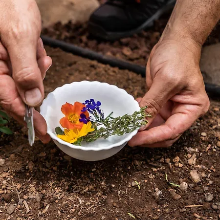 Ecolife Tenerife Ξενοδοχείο 3*