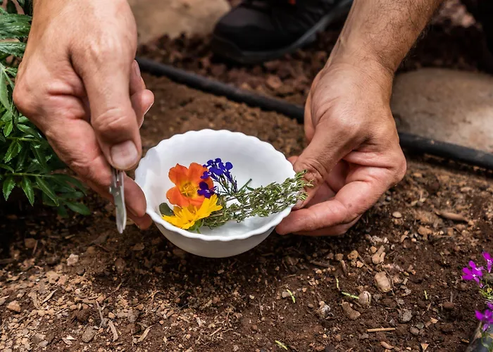 Ecolife Tenerife فندق 3*