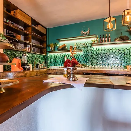 Ecolife Tenerife - Tenerife Sur