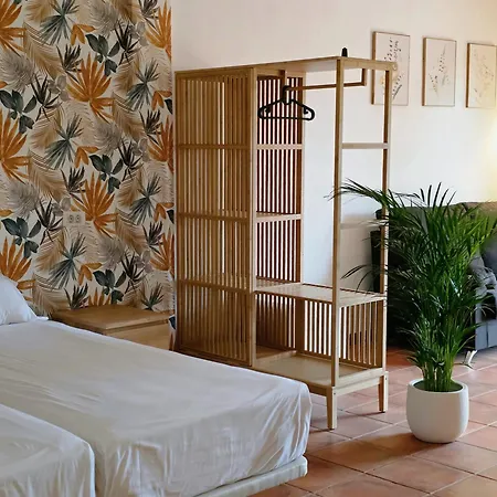 Ecolife Tenerife - Tenerife Sur