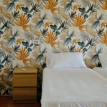 Ecolife Tenerife - Tenerife Sur