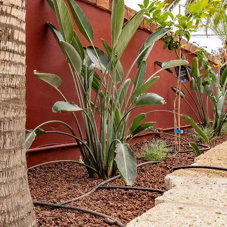 Ecolife Tenerife - Tenerife Sur Hotel