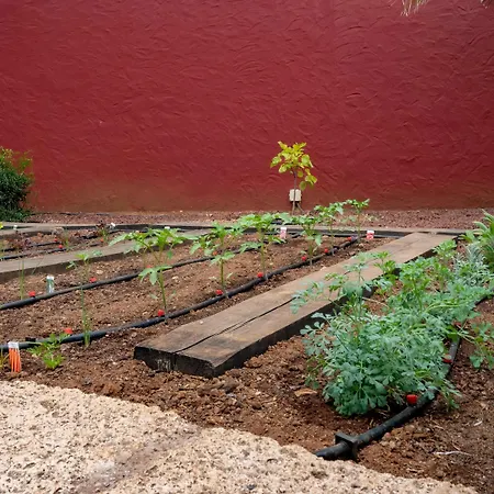 Ecolife Tenerife - Tenerife Sur
