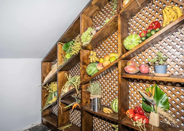 Hotel Ecolife Tenerife 3*